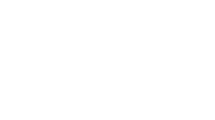 Wealth - Entidad Financiera