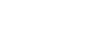 Wealth - Entidad Financiera