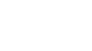 Wealth 45