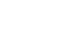 Tourism 11