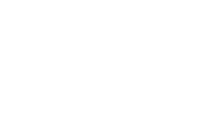 Public Institution +500