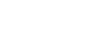 Public Institution +200