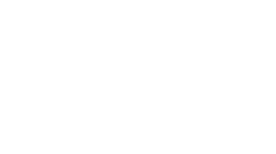 Public Institution +300