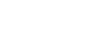 Public Institution +500