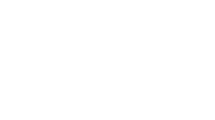 Wealth 1